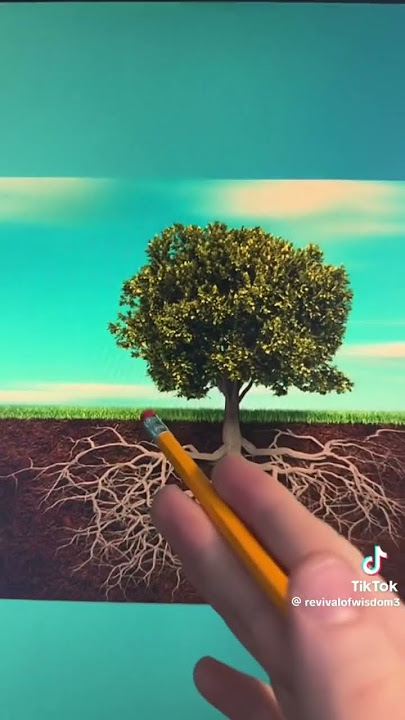 @EsotericEnigmaHub #youtubeshorts #tiktok #spiritual #universe #scorpio