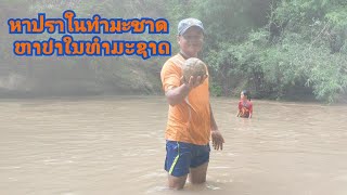 หาปราตามทำมะชาด แบบดั้งเดีม ຫາປາຕາມທຳມະຊາດແບບດັ່ງເດີມແຕ່ປູ່ຍ່າຕາຍາຍ