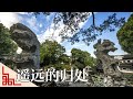 雅致！游苏州狮子林 感受假山怪石之趣《园林》第七集 | 中华国宝