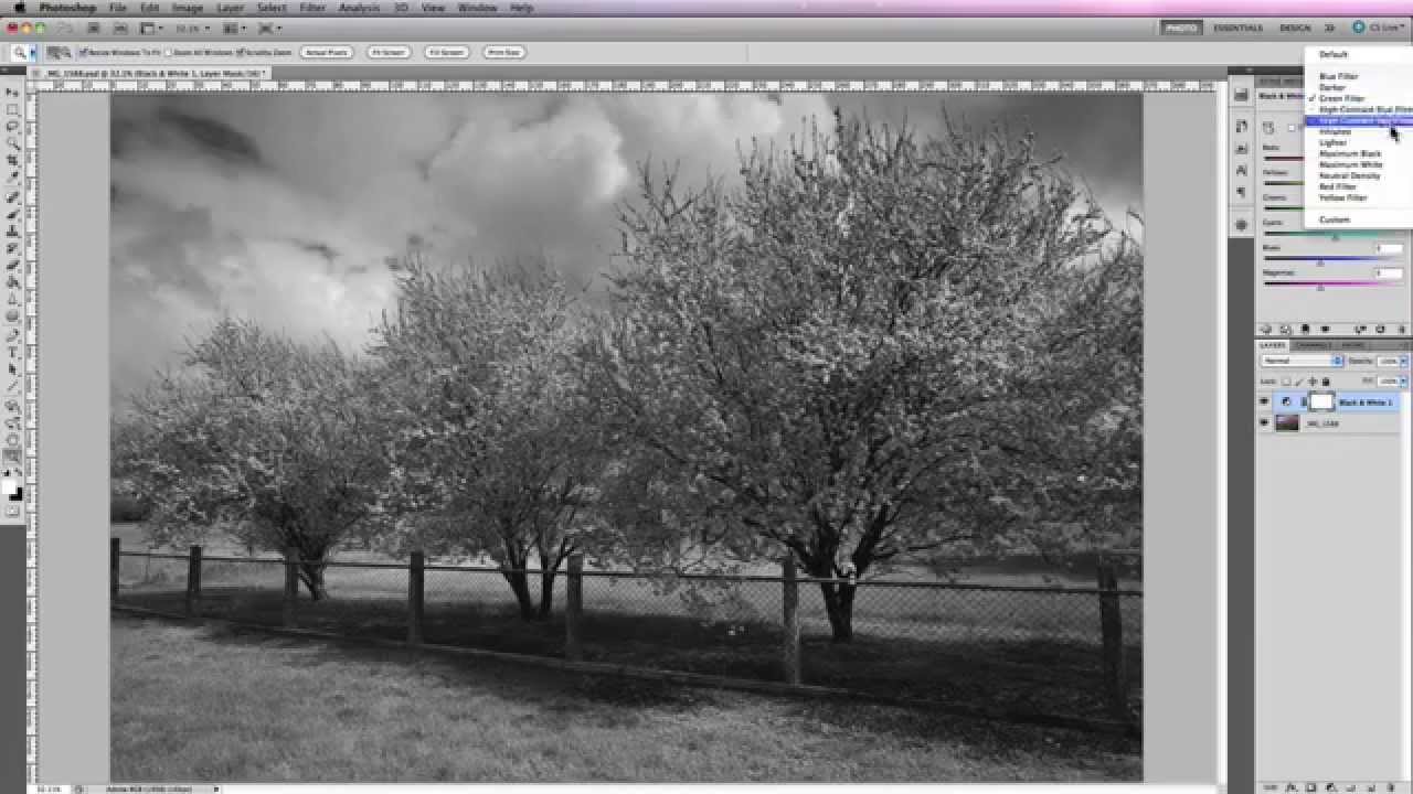 Convert a color image to black and white in Photoshop and share