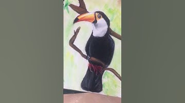 Drawing a Toucan bird with colour pencils #art #drawing #artist #toucanbird