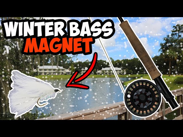 EPIC Winter Fly Fishing for BASS!!!