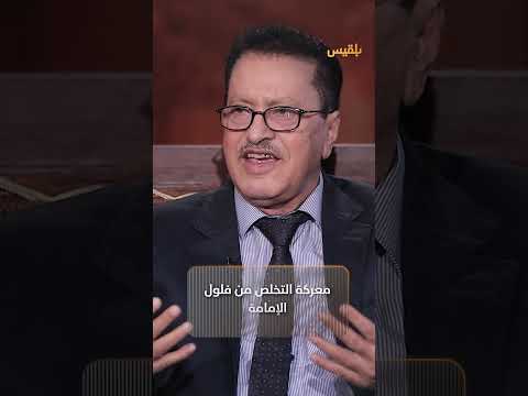 معركة صنعاء: دور المقاتلين والدعم الخارجي