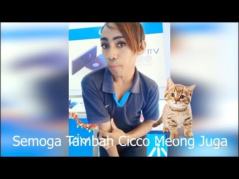 Promotor Vivo Amora Mengucapkan Selamat Ulang Tahun