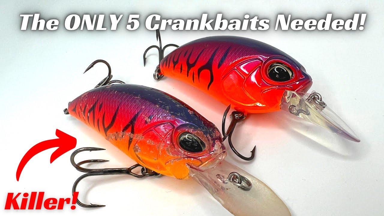 POW! The Only 5 Crankbaits You Need! Model Type and Color! 