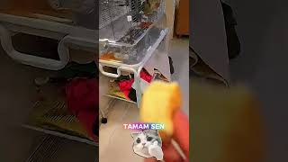 🐶🍞 Köpeklerin Ekmek Challenge’ı.Sonda Sürpriz!