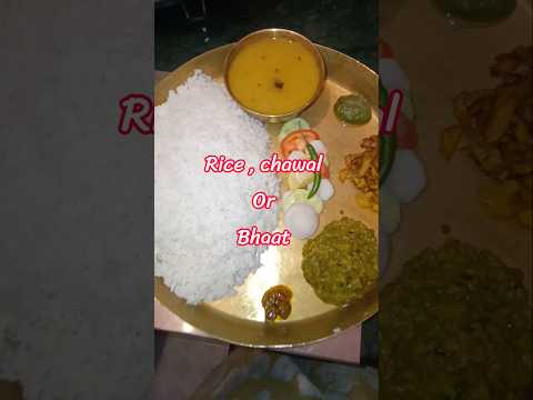 ऑप्शन में काछि काच्छी है | || Today lunch Thali || #shots #e