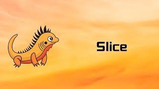 Zig | Slice | Tutorial 12