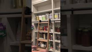 Quiet Glide rolling ladder