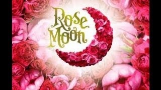 ROSE FULL MOON READING JUNE 14-22, 2014