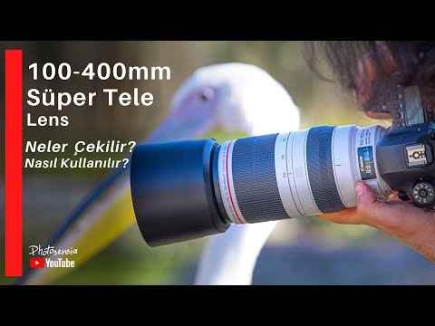100-400mm Süper Tele Lens - Süper Tele Lensle Ne Tür Fotoğraflar Çekerim?