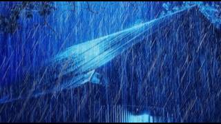 🔴Thunderstorm ⛈️Night Harmony | Heavy Rain for Rest and Sleep