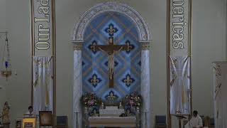 Messa domenicale (italiana), Nostra Signora di Guadalupe Brooklyn NY Chiesa cattolica 2026-06-07 13:58
