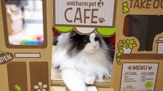 「猫咪咖啡馆」系列之【蛋黄流心西多士】【港式奶茶】Cat‘s Cafe  【French toast】【HK Style Milk Tea】ネコのコーヒーショップ　「フレンチトースト」「ミルクティー」