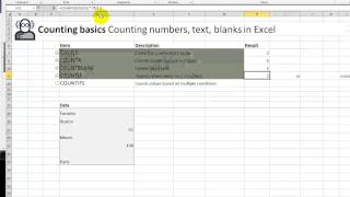 Video 00027 COUNT functions in Excel