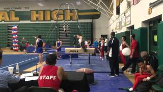 Tech Sequence Pommel Horse