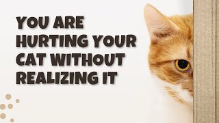 You are Hurting your Cat without Realizing It