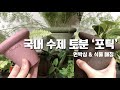 국내 수제 토분 ‘포틱’ | 언박싱 &amp; 식물 매칭 | foutik | clay pot Mp3 Song