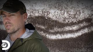 Misterio del dinosaurio de Kodiak | Alaska paranormal | Discovery Latinoamérica