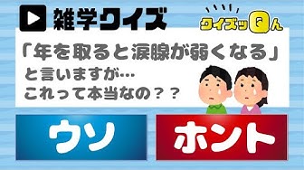 雑学クイズ Youtube 雑学クイズ Youtube