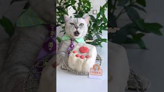 Wow,A Furry Tofu That Resembles Cat's Paw！😜#Catsofyoutube  #Tiktok #Shorts