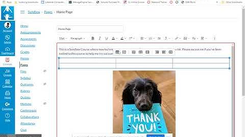 Remove Table Borders & Interior Lines in Canvas