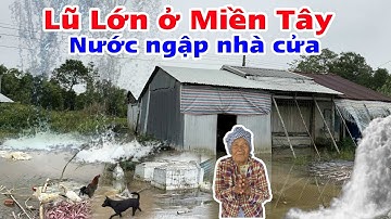 Mưa lũ lớn nước dâng cao ở Miền Tây làm ngập nhà cửa ruộng vườn [30 tháng 10, 2025]