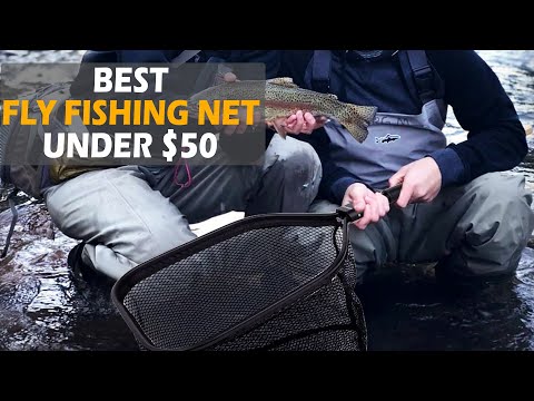 Best Fly Fishing Net Under $50: Top Budget-friendly Fishing Net