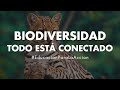 Todo est conectado  biodiversidad  educacin ambiental digital