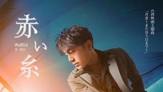 韋禮安 WeiBird〈赤い糸〉MV (電影「月老」主題曲《如果可以》日文版)