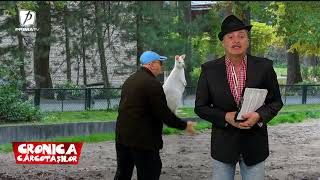 Download Lagu 🔴 I-a fugit cangurul lui Nuțu Cămătaru! 😂 MP3 Download Lagu 🔴 I-a fugit cangurul lui Nuțu Cămătaru! 😂 MP3