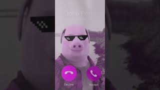 John Pork Is Calling Sound Variations I Answered Him 