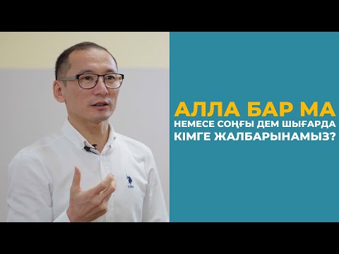 Бейне: Тікенді құстар шынымен бар ма?