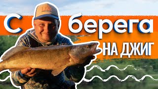 Спиннинг с берега!  Джиг.  На реке жара, кого получилось поймать?