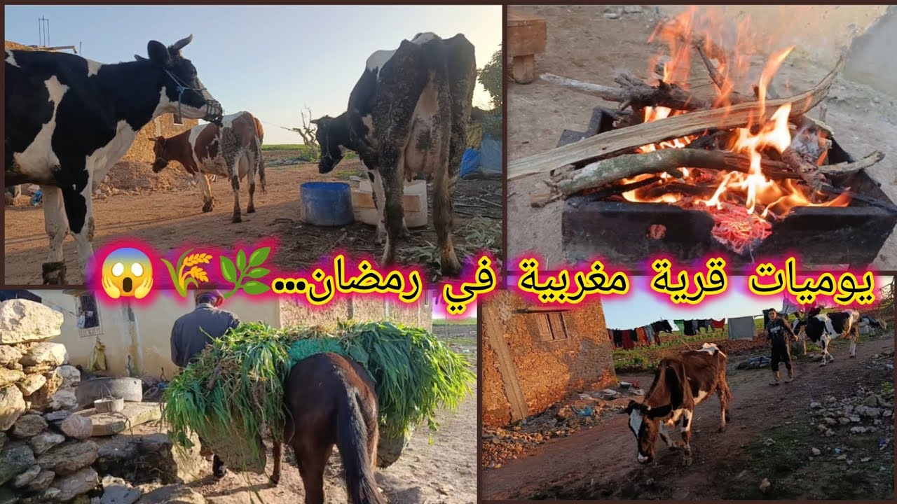 يوميات قرية مغربية في رمضان.....🌿🌾😱