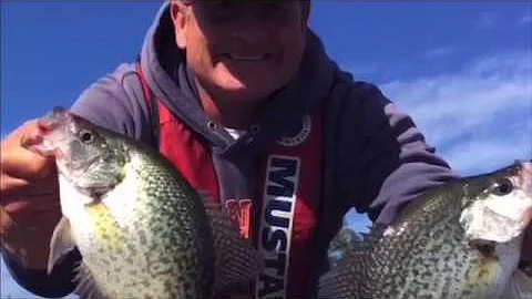 Deep Crappie On Second Creek Bridge , High Rock Lake , NC