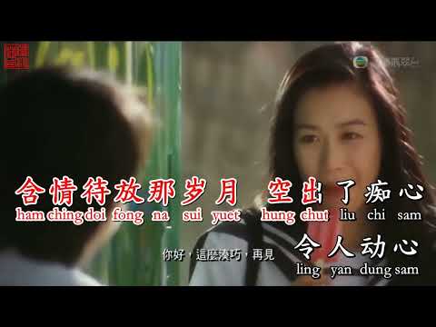 Khó có được tình nhân (Tình như lá bay xa) 难得有情人 KARAOKE 伴奏 KTV 卡拉OK