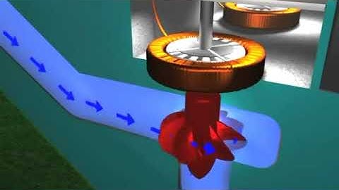 The World Around Us  Part-2 Unit -1 Semester -2