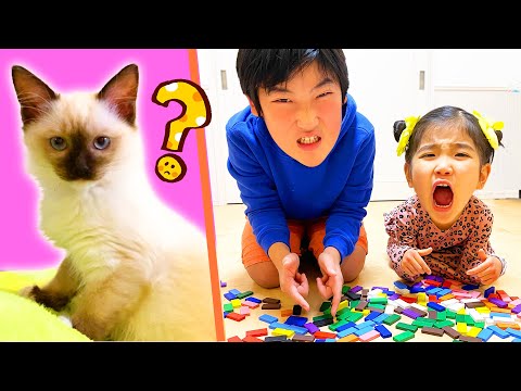 こたくんみのちゃんかわいい子猫を上手にお世話できるかな？