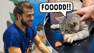 This Cat is CRAZY About Food! ( He ATTACKS the Food! ) by Tugay İnanoğlu 149,182 views 11 days ago 9 minutes, 14 seconds