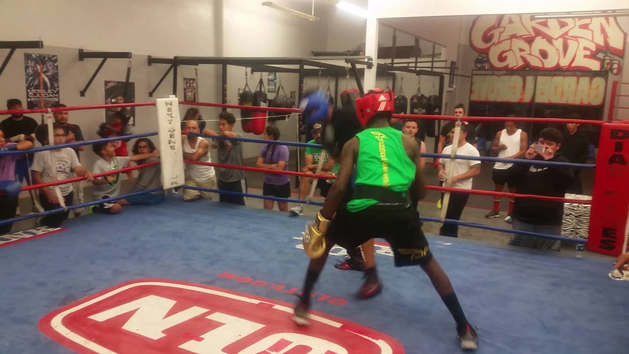 Garden Grove Boxing Sparring YouTube
