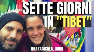 DHARAMSALA: a little paradise between India and Tibet