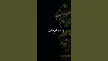 سورة النجم🫀آية(39)قرآن❤️استمع.لنكسب الأجر انا وانت🎧