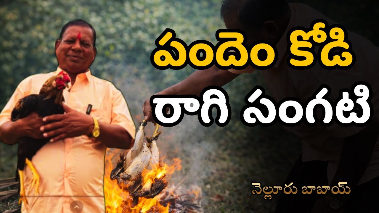 పందెం కోడి రాగి సంగటి 😋 | Nellore Babai Style Pandem Kodi Ragi Sangati | Village Food