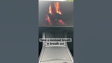 Relaxation From A Tesla Burning Wood Fire #Short #tesla #model3 #teslamodel3 #relax