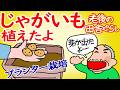 【食料品値上】に対抗して【ジャガイモ】を植えたよ 【家庭菜園】で、ジャガイモを作ろう ジャガイモの芽がでたよ。【老後は年金で田舎暮らし】