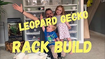 How to build a leopard gecko rack
