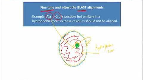 Topic 222 (BIF401 - Bioinformatics I)