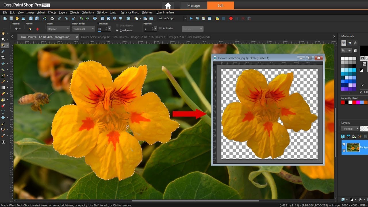 how to use magic wand tool in photoshop for single color