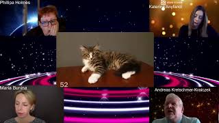 Победитель Шоу CatVision 14/5/2021 в категории Лучшие Котята - котенок породы Норвежская Лесная by IFAcats 110 views 2 years ago 4 minutes, 13 seconds